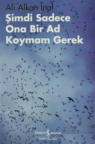 Şimdi Sadece Ona Bir Ad Koymam Gerek