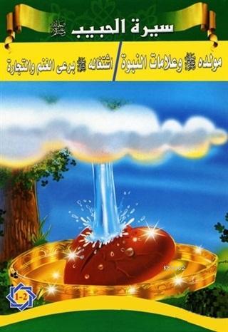 Siretü'l-Habib - Peygamberimizin Hayatı (5 Kitap Takım) Tacettin Uzun