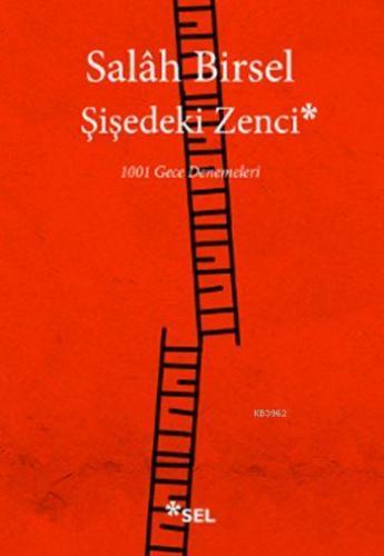 Şişedeki Zenci; 1001 Gece Denemeleri