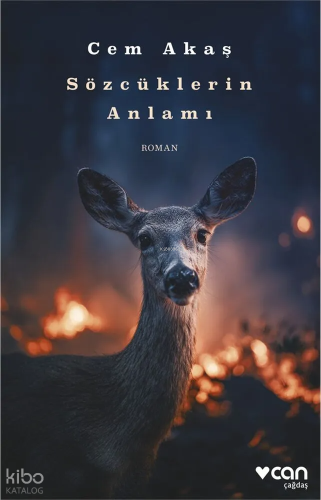 Sözcüklerin Anlamı Cem Akaş