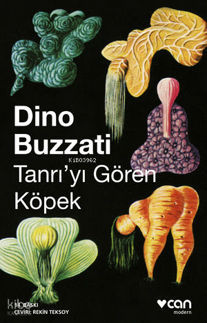 Tanrı'yı Gören Köpek Dino Buzzati