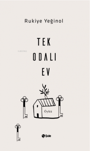 Tek Odalı Ev