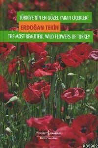 Türkiye'nin En Güzel Yaban Çiçekleri 1. Cilt 1. Volume (Ciltli) Erdoğa